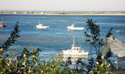 Guided tour of Outer Cape with Provincetown and Chatham